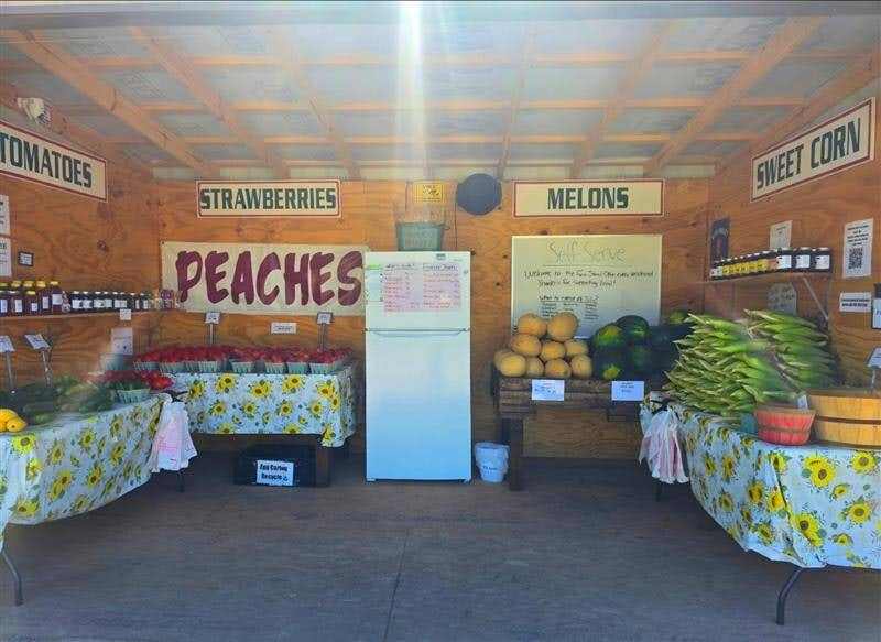 Inside our farm stand: hand-painted signs for peaches, strawberries, melons, tomatoes, and sweet corn